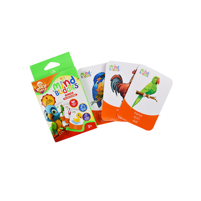 EDUAIDS Bird Flash Cards for Kids Educational Learning Cards |AFORALL