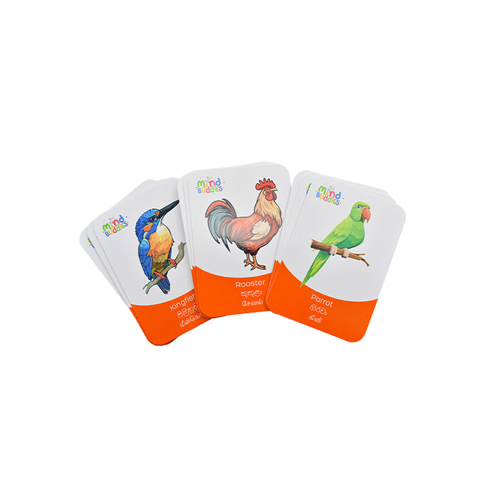 EDUAIDS Bird Flash Cards for Kids Educational Learning Cards |AFORALL