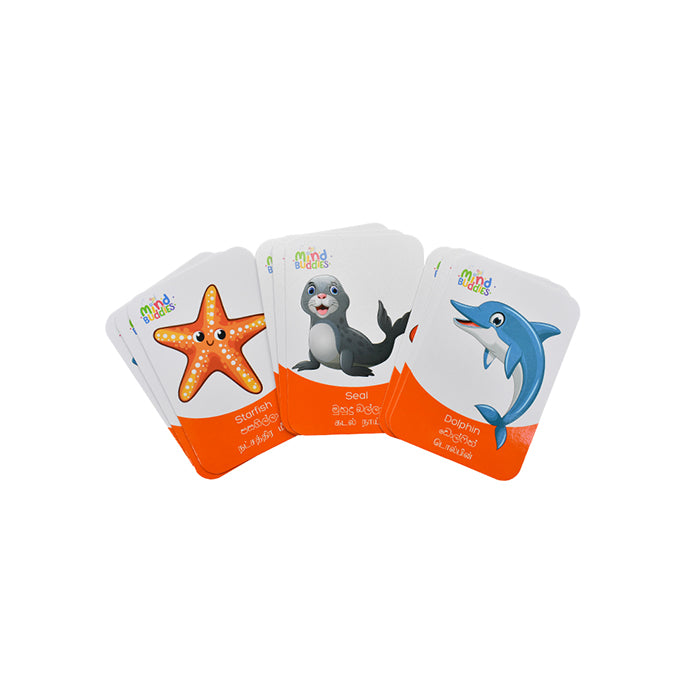 EDUAIDS Sea Animals Flash Cards for Kids Educational Learning Cards |AFORALL